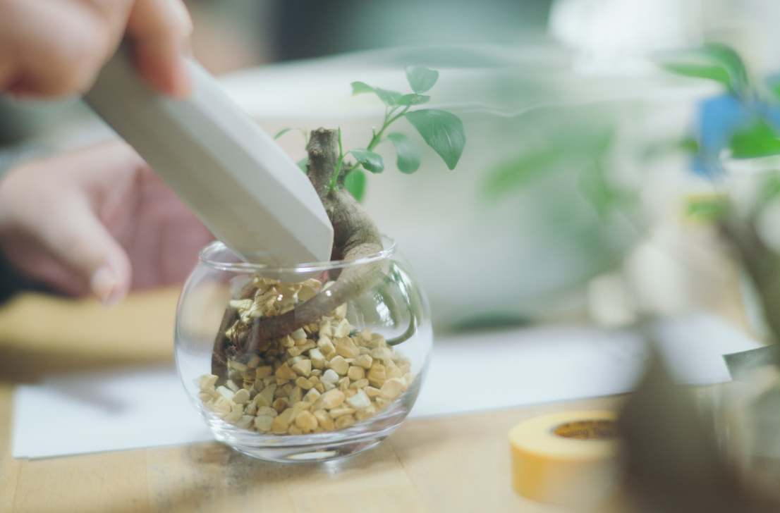 植物の作業をしている様子