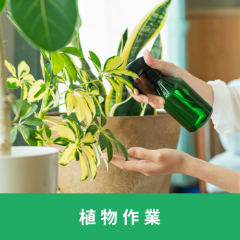 施設外就労先 IGCぷれいす