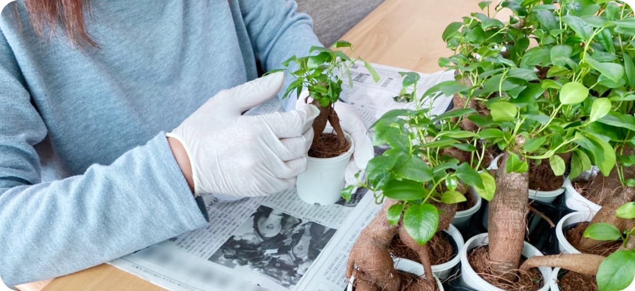 スタッフと利用者の様子